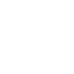 msdg.design